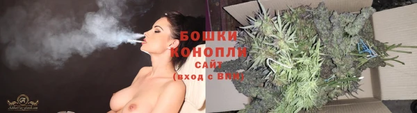 мдпв Коряжма