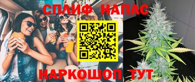 МДПВ Гусев