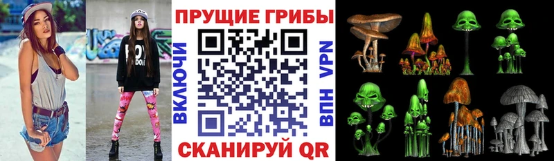 MEGA как зайти  Юрга  Галлюциногенные грибы Magic Shrooms 
