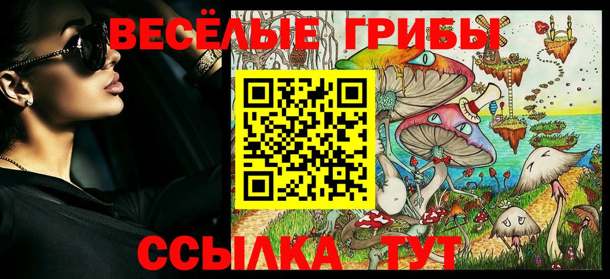 Юрга  Галлюциногенные грибы GOLDEN TEACHER  Вход с VPN  дарнет шоп  Псилоцибиновые грибы мухоморы 